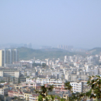 嘉禾县:产业强县聚动能 高质量发展谱新篇