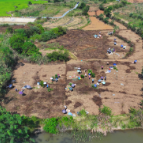 桂阳县:念活“药材经” 民富产业兴