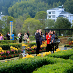 凝聚文明力量 共塑幸福桂东——桂东县巩固省级文明城市创建成果纪实