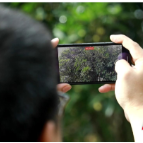 宜章莽山：桂香满园醉游人