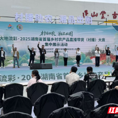 郴州代表队闪耀“2025湖南省首届乡村农产品直播带货大赛”