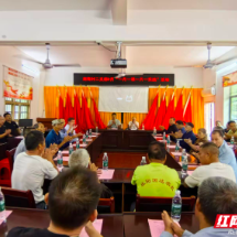 桂阳南衙村主题党日观摩：红色基因与绿色产业交融促振兴