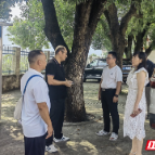 临武县水东镇：人大代表护航开学季
