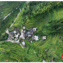 苏仙区：秋日梯田绘就生态画卷