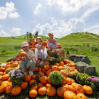 北湖区仰天湖大草原打造 “南瓜奇境” 童话景致引客来