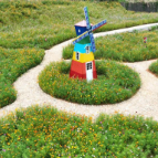 组图 | 宜章县西岭村:格桑花开乡村美