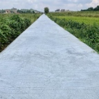 汝城县卢阳镇：修新路 走“心”路