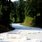 一条路带动一片产业