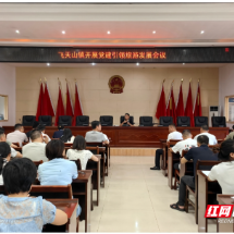 苏仙区飞天山镇党委以“红”赋“景”蹚出乡村振兴新路径