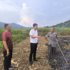 临武县汾市镇:人大代表齐发力 秸秆禁烧显担当