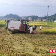 汝城政协民主监督显成效 秸秆综合利用见实效