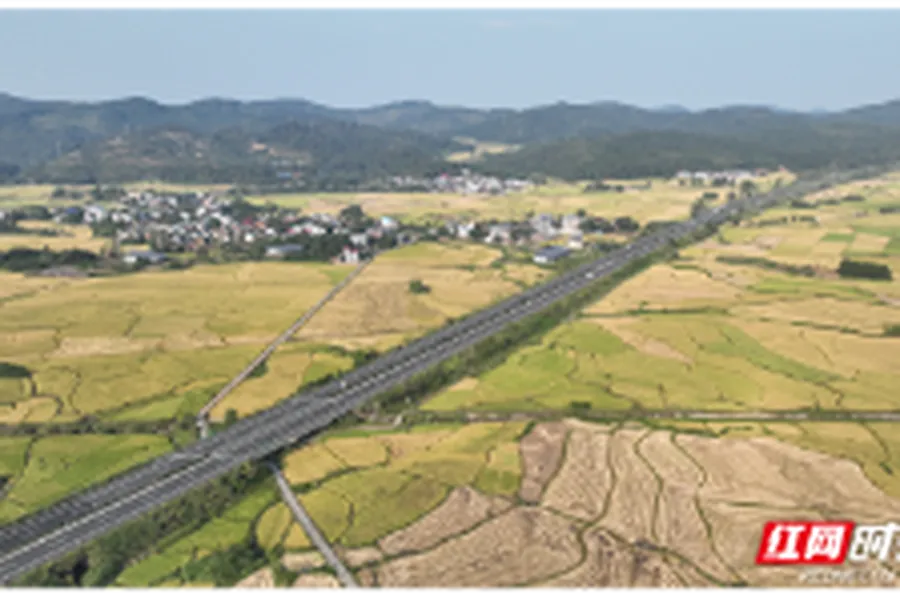 哲学里的郴州 | 千年古郡，一“香”惊人