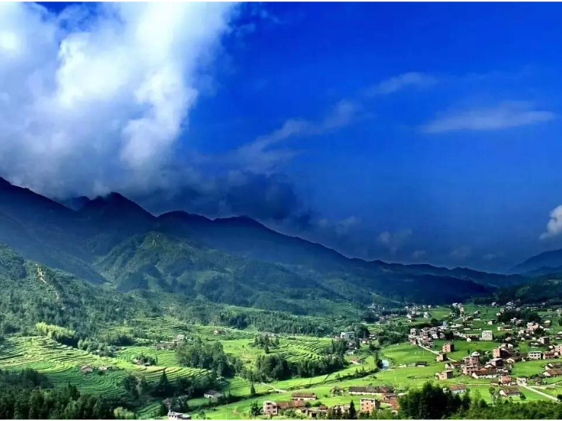 桂东县：指尖传诉求 “一键”解民忧