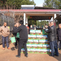 临武县南强镇：红薯粉里的大情怀