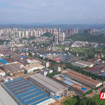 嘉禾县：以“单项冠军”为钥  开启产业强县新征程