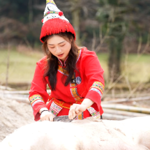 藏不住了！昨天超400网友到北湖瑶乡吃刨猪汤！