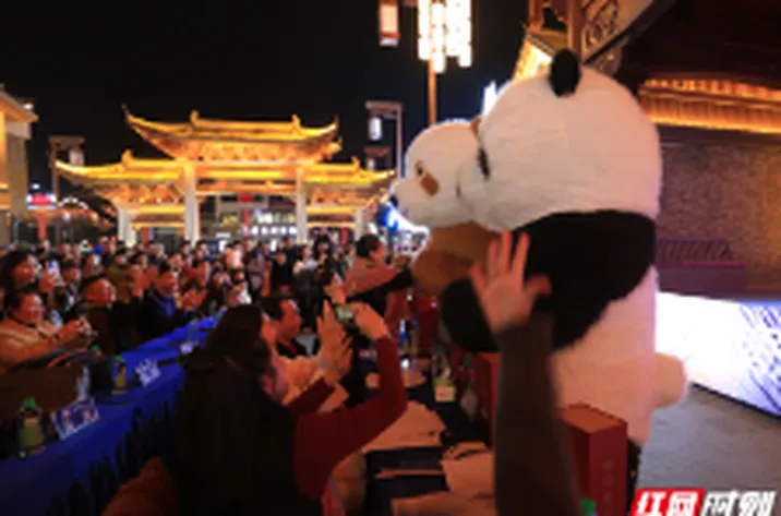 郴州裕后街“功夫熊猫宝宝”萌趣表演惹人爱