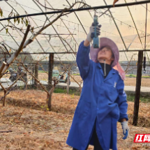 宜章县玉溪镇西门村：枝条粉碎变“肥宝” 生态还田促生产