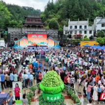 桂东县：3.6亿次传播让县域故事“声”入人心