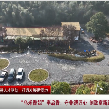 “乌米香姐”李启香：守非遗匠心 创致富新路