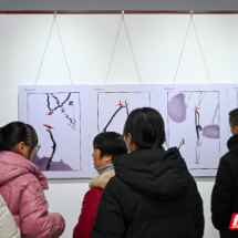 组图 | 资兴市：四场影展同步启幕 共探资兴影像故事