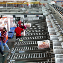 宜章脐橙出口量突破千吨大关