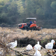 冬田不闲！循环农业盘活北湖瑶乡千亩良田