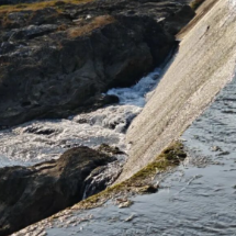 宜章县“河小青”开展巡河净滩行动