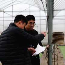 迎战寒潮 宜章烟草为烟苗撑起“保暖伞”