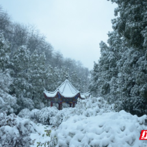 组图 | 安仁县：熊峰山雾凇冰挂景观胜似仙境