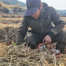 宜章返乡青年曹作彪的立体农业答卷