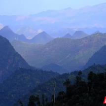 共同签署协议、发布宣言！郴州、邵阳、永州三地法院携手护南岭