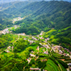 桂东县：监督护航暖民心 帮扶车间跑出增收“加速度”