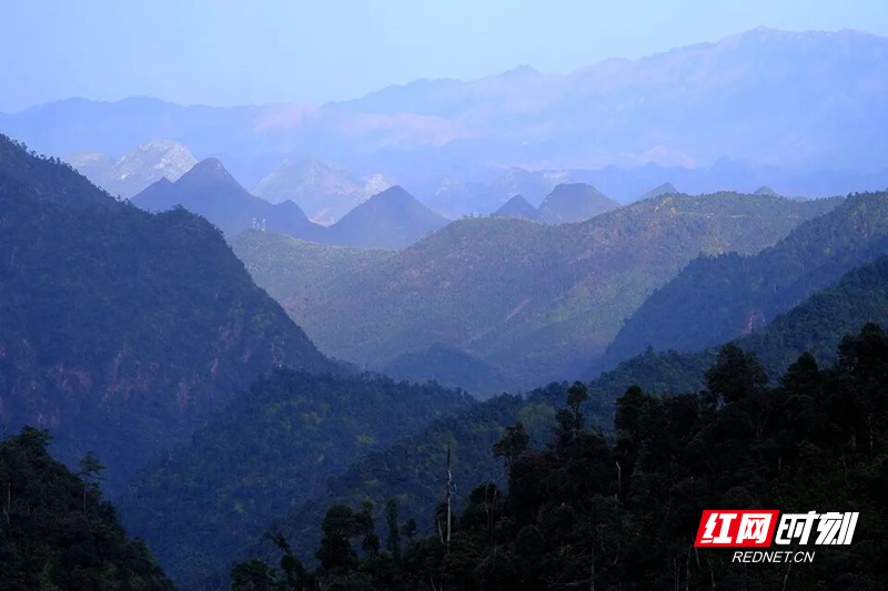 共同签署协议、发布宣言！郴州、邵阳、永州三地法院携手护南岭