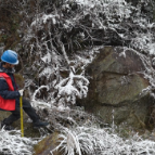 国网资兴市供电公司：踏雪迎风 电暖万家