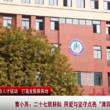 爱与坚持的奇迹——记苏仙区骨干教师曹小英