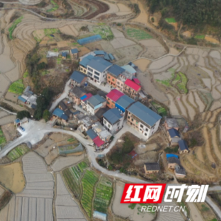 北湖区：循环利用土地 “冬闲田”变“希望田”