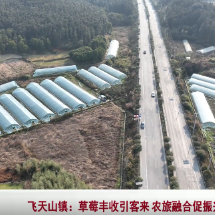 苏仙区飞天山镇：草莓丰收引客来 农旅融合促振兴