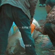 桂阳“全牛宴” 激活“乡味记忆”