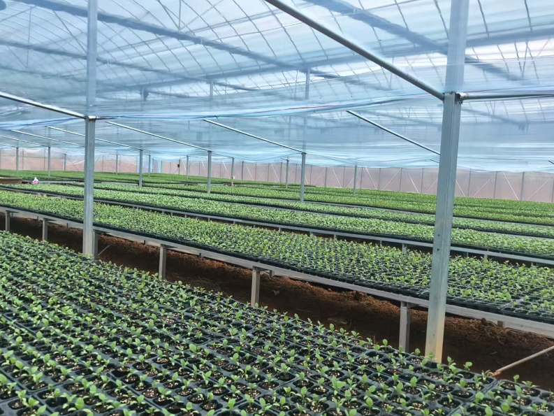 哲学里的郴州 | 一桌鲜香，珠泉镇“上菜”