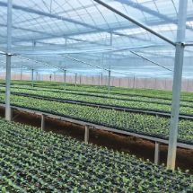 哲学里的郴州 | 一桌鲜香,珠泉镇“上菜”