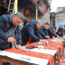 临武县:开展系列文明实践惠民活动迎新春