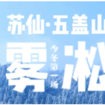视频 | 苏仙·五盖山 2026年的第一场雾凇