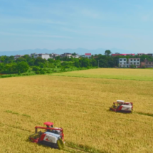 非凡十四五 |“ 农业强县” 蝶变跨越 安仁县把饭碗牢牢端在自己手中