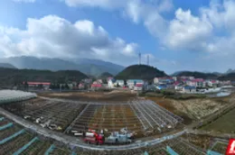 组图 | 苏仙区五盖山镇：钢架大棚搭建 “致富棚” 特色农业赋能乡村振兴