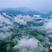 诗歌 | 只此桂东