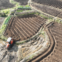 宜章县4万亩烟田翻耕起垄忙