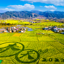 资兴市蓼江镇：织牢“平安网”，守护一方安稳