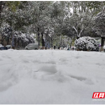 散文 | 怀念2024年那场雪