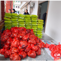 安仁县坪上村：汇聚多方力量 写好民生答卷